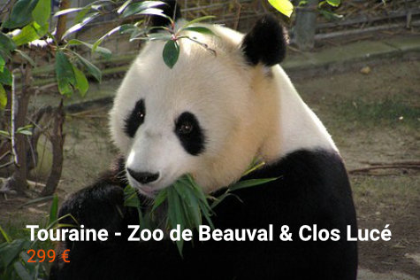 Zoo de Beauval et Clos Lucé